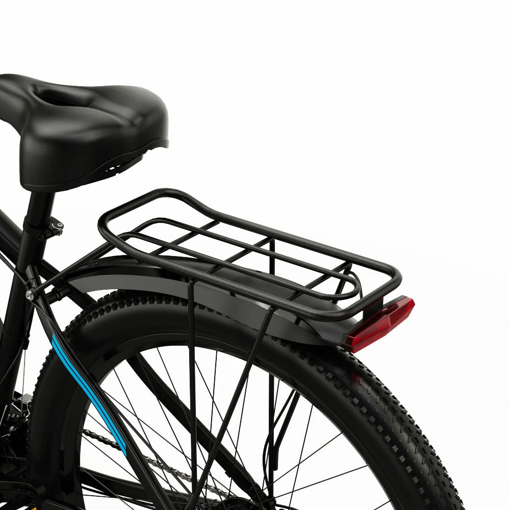 DUOTTS C29 (EU) Electric Bike