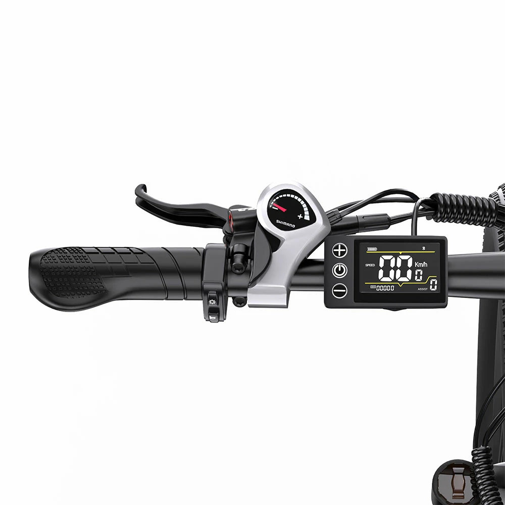 DUOTTS C29-K (EU) Electric Bike