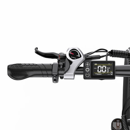 DUOTTS C29-K (EU) Electric Bike