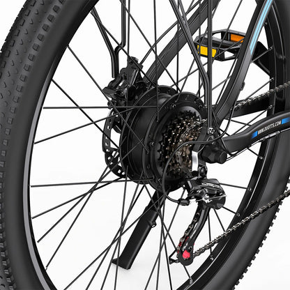 DUOTTS C29-K (EU) Electric Bike