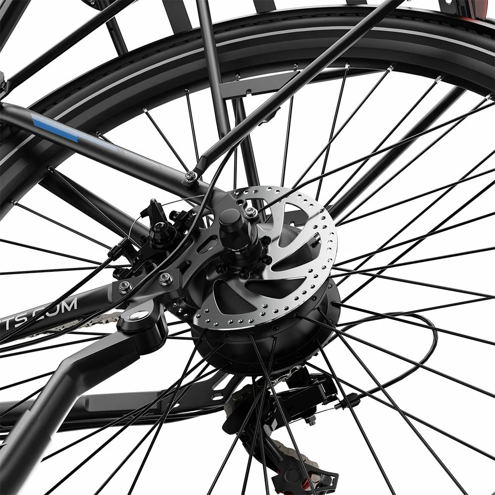 DUOTTS C29 Lite (EU) Electric Bike