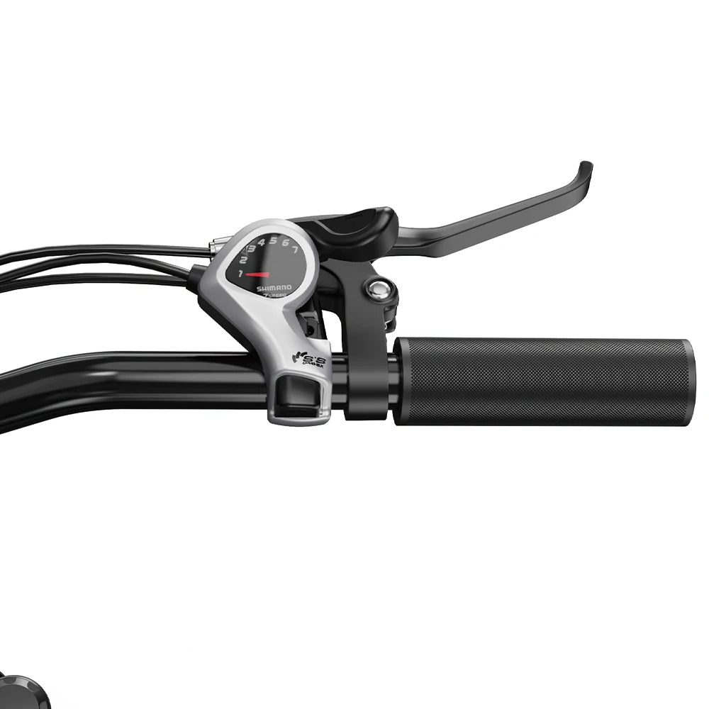 DUOTTS C29 Lite (EU) Electric Bike