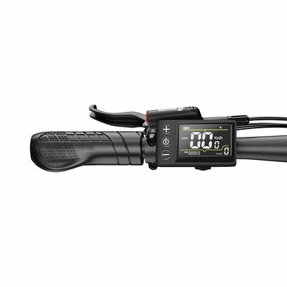 DUOTTS C29 Max (EU) Electric Bike