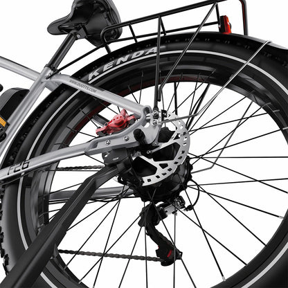 DUOTTS F26 (EU) Electric Bike