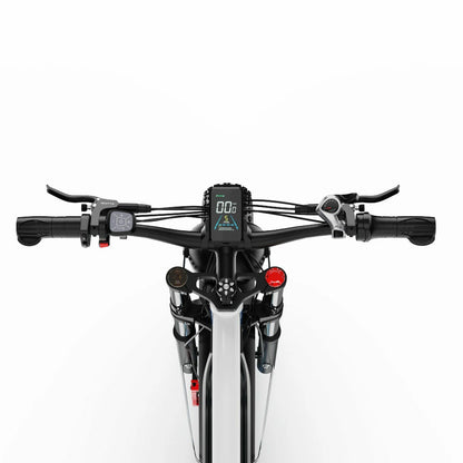 DUOTTS N26 (EU) Electric Bike
